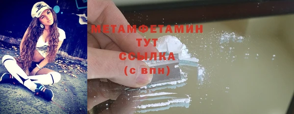 гидропоника Дмитриев