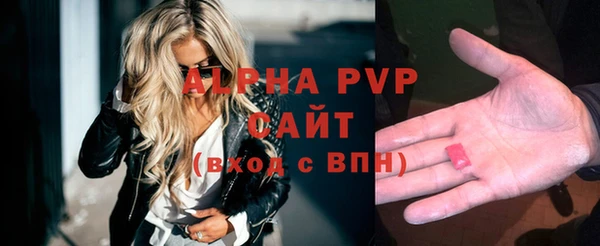 стаф Алексин