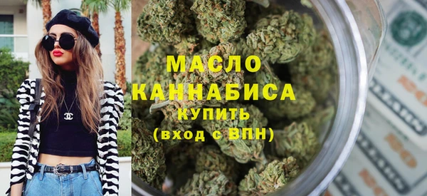 индика Дмитров