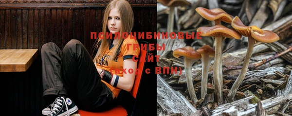 дмт Каменка