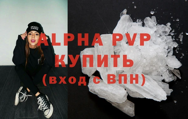 стаф Алексин